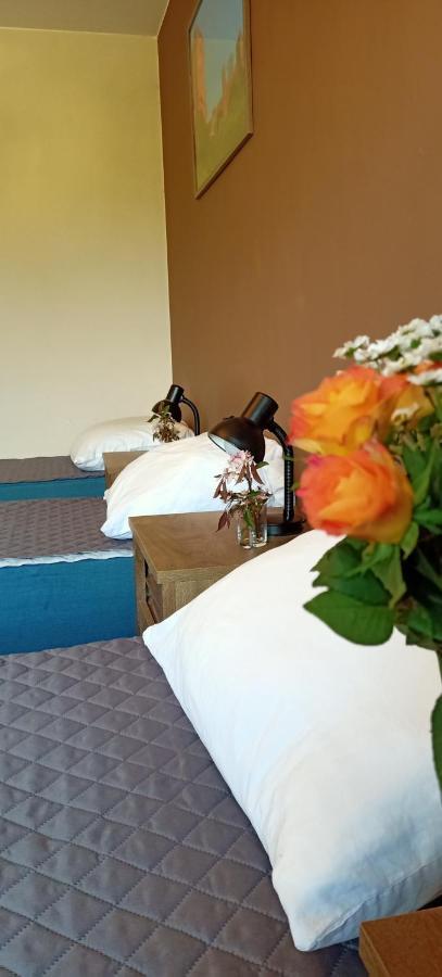 Appartement Ostoja Czersk Zamek Gora Kalwaria Extérieur photo