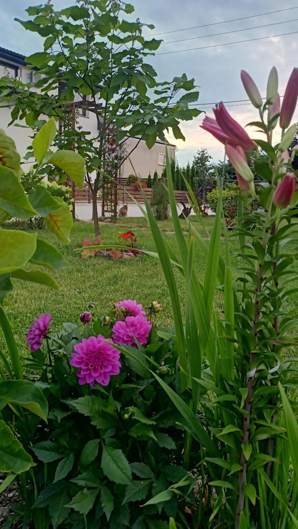 Appartement Ostoja Czersk Zamek Gora Kalwaria Extérieur photo